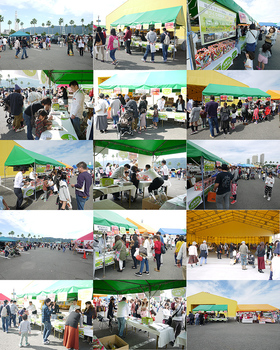 ade49357c2670102adcc188eee96f0d0.jpg